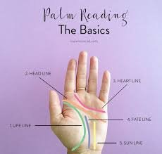 palm lines