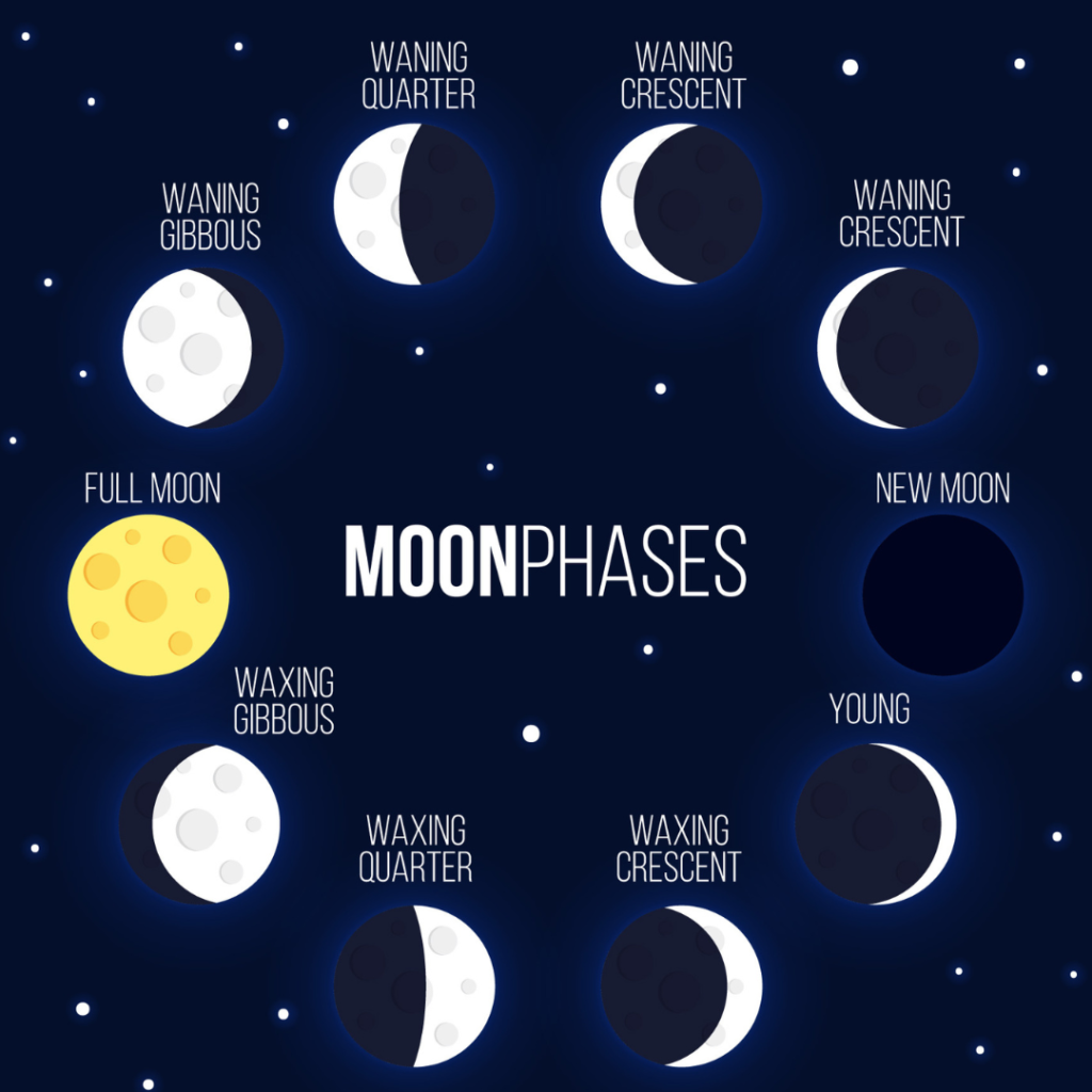 Moon Phases